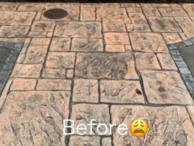 《人・ペット・環境》に配慮したプロの技術で作業いたしますサービスの画像