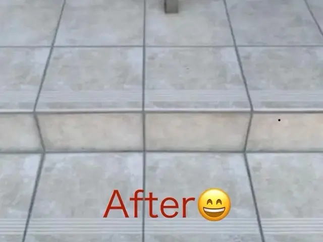 《人・ペット・環境》に配慮したプロの技術で作業いたしますサービスの画像