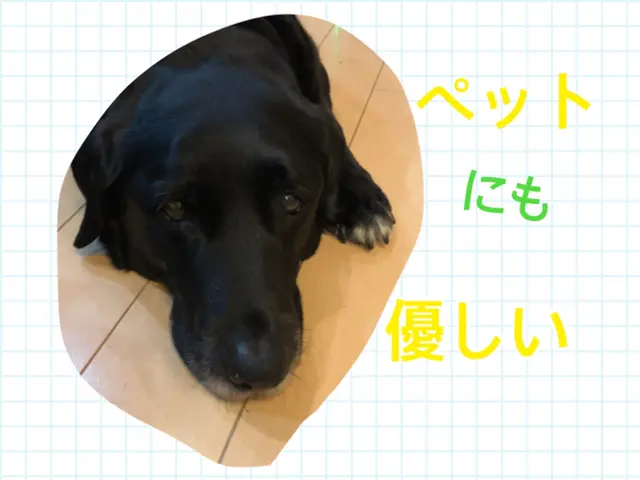 (^^♪有資格者！“★天然エコ洗剤で安心★【衛生管理/対策万全】★より快適に！！サービスの画像