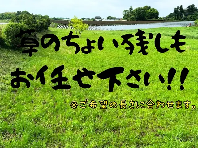 【安心安全実績】急案件対応可能！！相談事も是非是非！驚き価格でご案内いたします！サービスの画像
