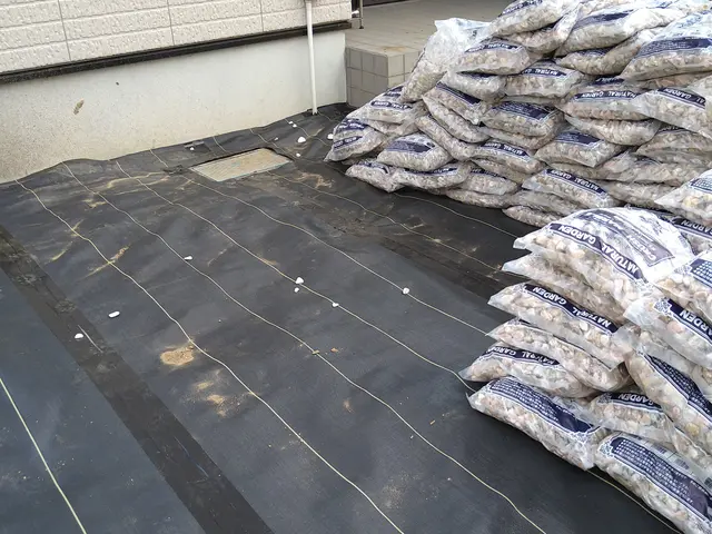 女性スタッフの派遣や同行も可能◎親切・丁寧に対応いたします。サービスの画像