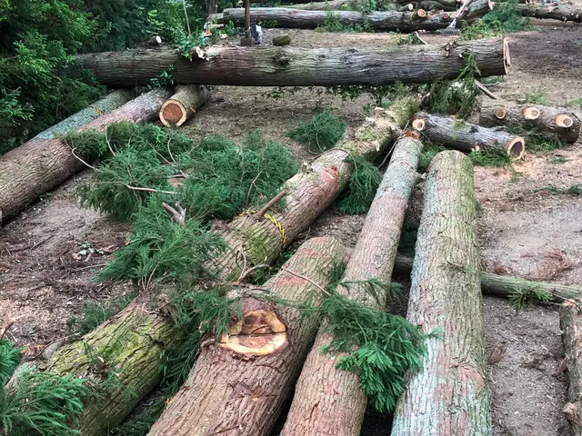 【年中無休営業】狭いところでも、大きな機械を使わず安全に！サービスの画像