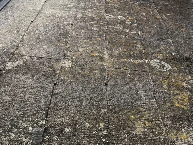 ＜屋根塗装〜特殊塗装＞誠心誠意もって取り組んでおりますサービスの画像