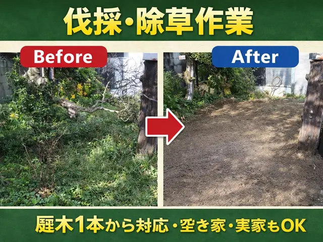 夏目前！虫嫌いな方必見！先着10名様限定20%オフ！最短当日〜翌日で伐採可能！サービスの画像