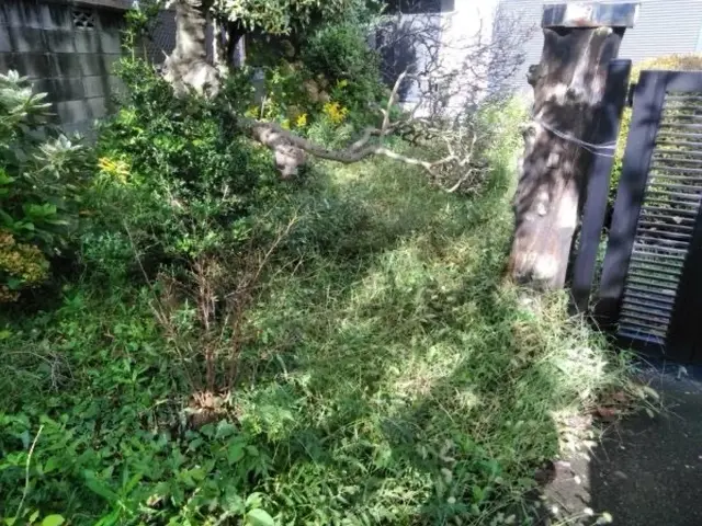 ECO Queenサービスの画像