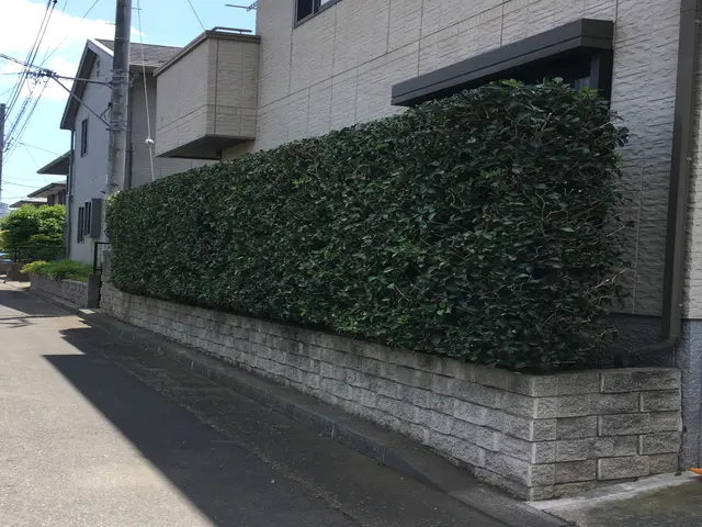 【業界歴10年以上の経験実績】地域密着◎営業時間外のご予約も相談受付中！サービスの画像