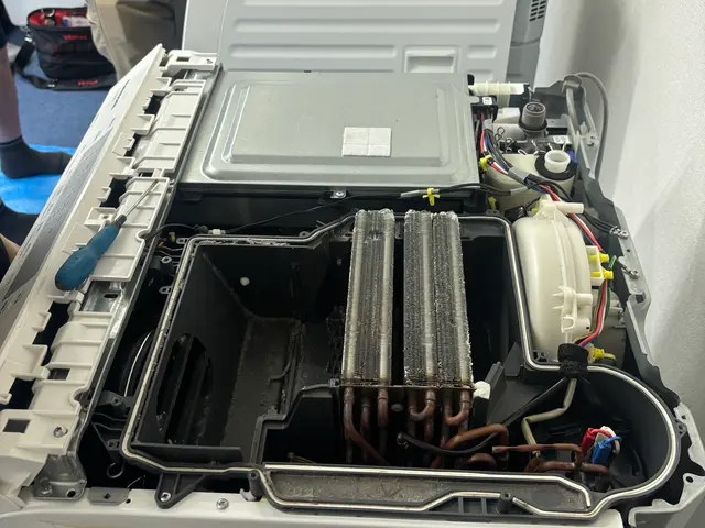 分解しないと見えない汚れを徹底洗浄！！ドラム式洗濯機サービスの画像