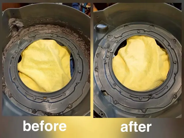 分解しないと見えない汚れを徹底洗浄！！ドラム式洗濯機(パナソニック限定)サービスの画像