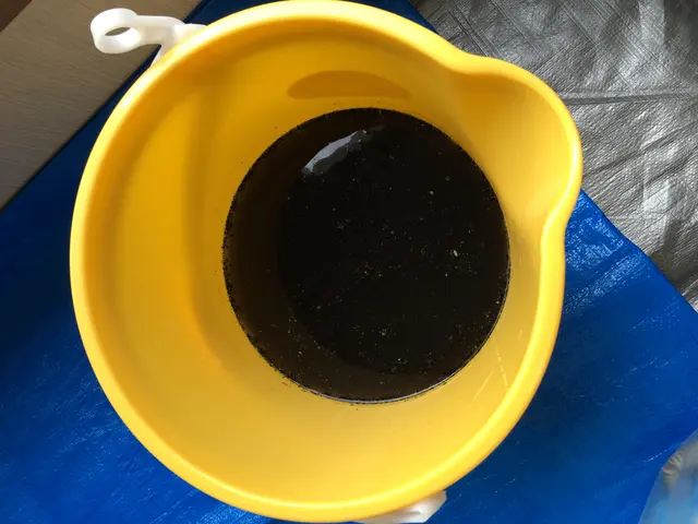 ＜注意＞サイト内予約可能日時地域要確認【動画有】資格者監修汚れ除去！消臭コート付サービスの画像