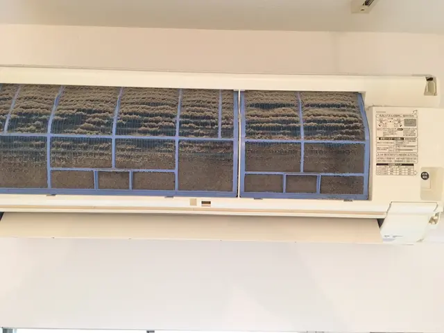 ＜注意＞サイト内予約可能日時地域要確認【動画有】資格者監修汚れ除去！消臭コート付サービスの画像