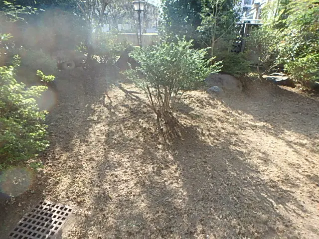 綺麗でスピーディーに仕上げます。サービスの画像