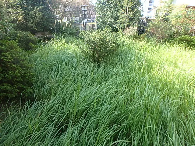 綺麗でスピーディーに仕上げます。サービスの画像