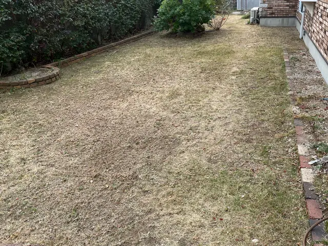 ◉庭のお手入れ専門店◉落ち葉清掃お任せくださいサービスの画像