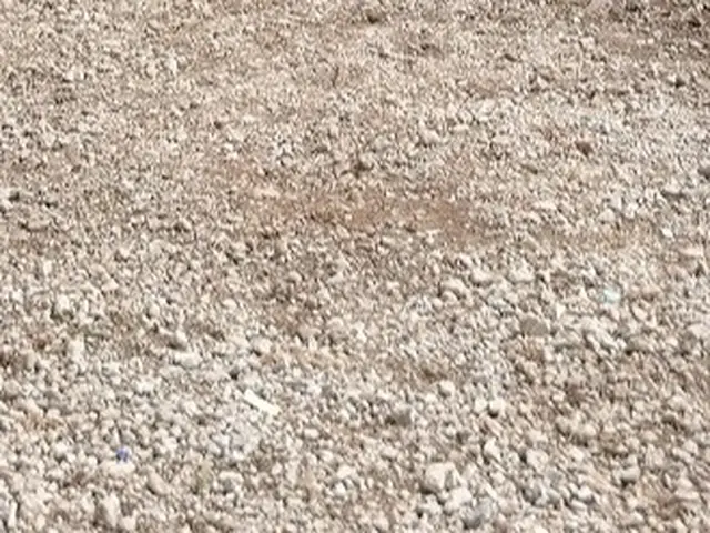 草むしりって意外と大変ですよね。今年は植木屋ふくちゃんに頼んでみませんか？サービスの画像