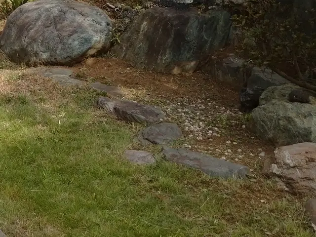 草むしりって意外と大変ですよね。今年は植木屋ふくちゃんに頼んでみませんか？サービスの画像