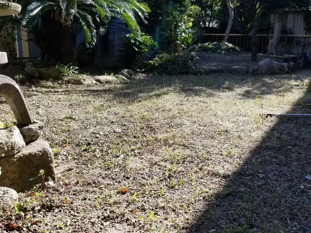 融通聞きます！お安く庭木の剪定！サービスの画像