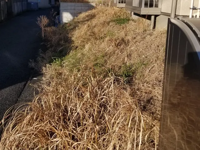 [春の雑草対策キャンペーン]5月1まで！サービス内容ご確認下さい。サービスの画像