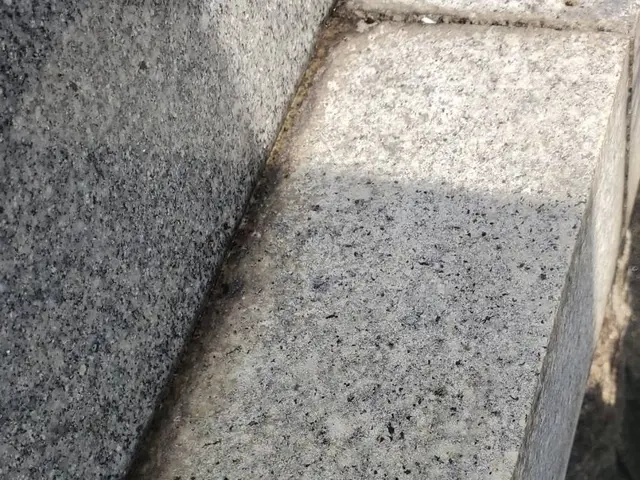 お墓参り代行　※墓石洗浄　※草取り　※仏花　※お線香　込みサービスの画像