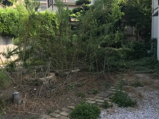 20年以上の経験が生きる！丁寧な仕上がりで満足度抜群のサービスサービスの画像