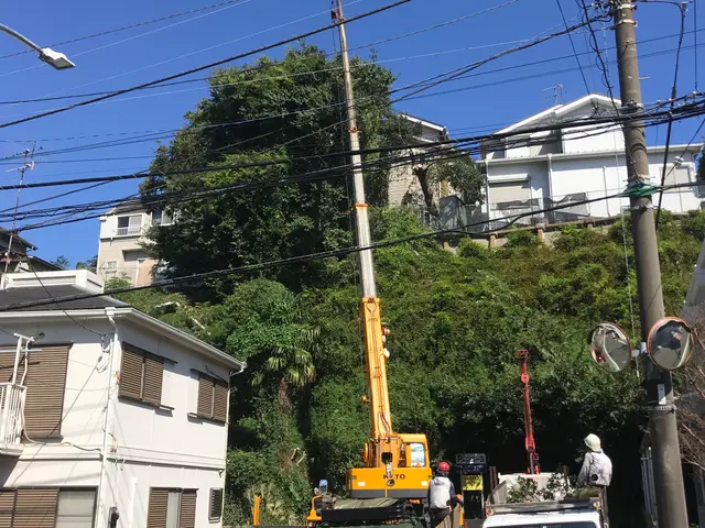 20年以上の経験が生きる！丁寧な仕上がりで満足度抜群のサービスサービスの画像