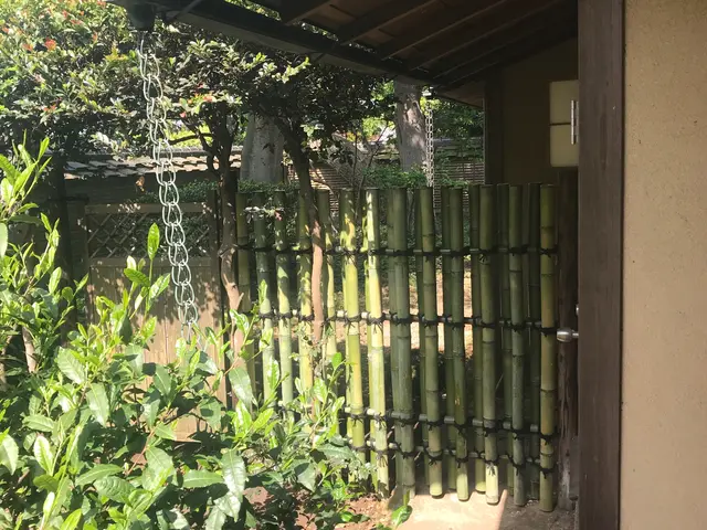 20年以上の経験が生きる！丁寧な仕上がりで満足度抜群のサービスサービスの画像