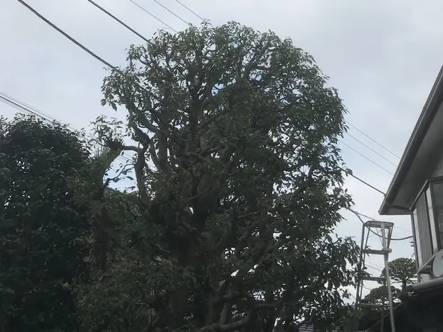 20年以上の経験が生きる！丁寧な仕上がりで満足度抜群のサービスサービスの画像