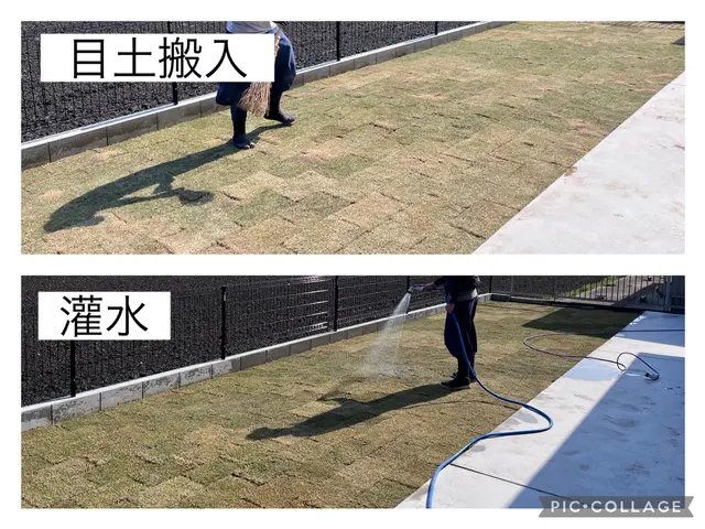 お庭を綺麗なグリーンにしましょう！サービスの画像