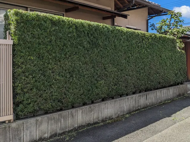 ◎予約から施工まで100%自社対応◎女性スタッフ同行可◎アフターフォローも万全サービスの画像