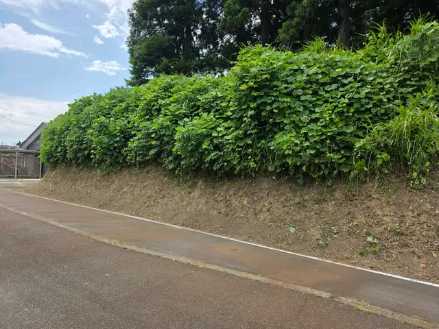 ☆9月新規出店☆店長訪問/どんな場所でも相談可/地元密着◎◎サービスの画像