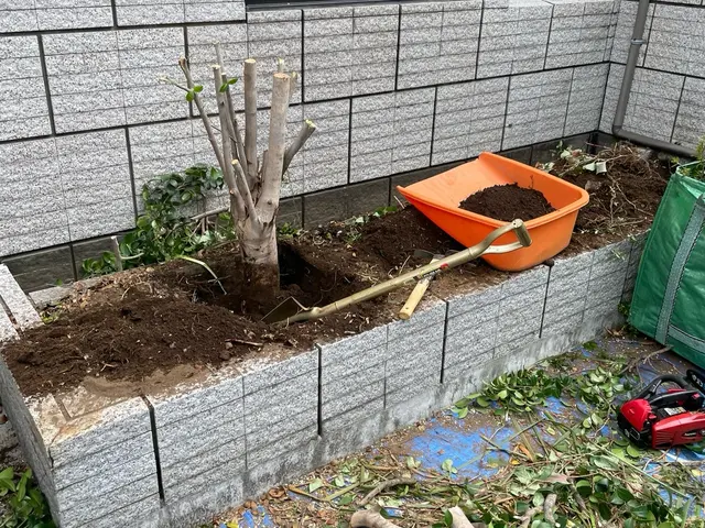 【女性スタッフ同行可！】迅速に伐採抜根致します。植木の入れ替えもお任せください！サービスの画像