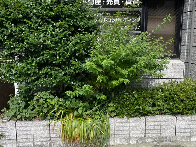【女性スタッフ同行可！】迅速に伐採抜根致します。植木の入れ替えもお任せください！サービスの画像
