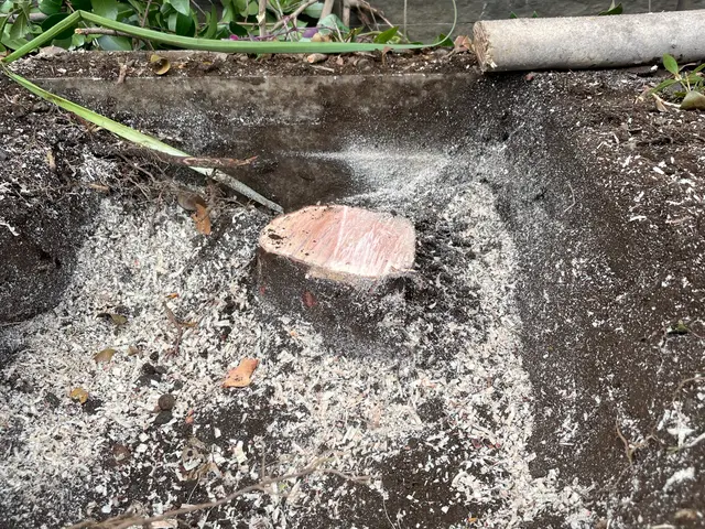 【女性スタッフ同行可！】迅速に伐採抜根致します。植木の入れ替えもお任せください！サービスの画像