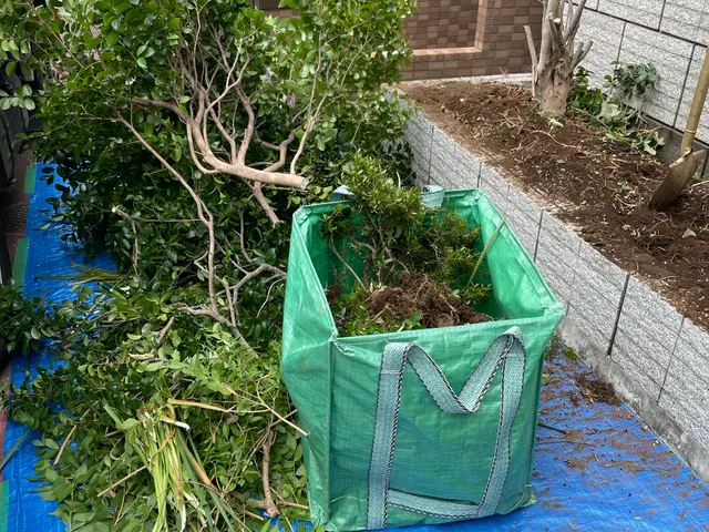 【女性スタッフ同行可！】迅速に伐採抜根致します。植木の入れ替えもお任せください！サービスの画像