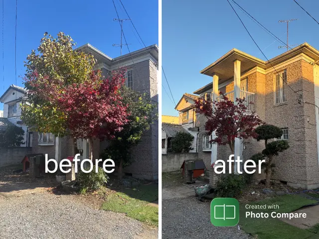 【女性スタッフ同行可！】迅速に伐採抜根致します。植木の入れ替えもお任せください！サービスの画像