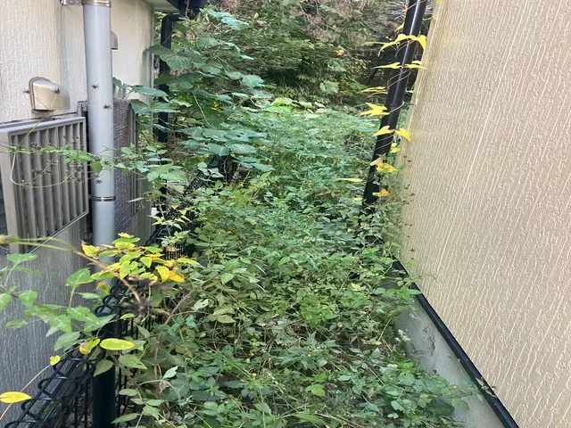 芝刈り、草刈りサービスの画像