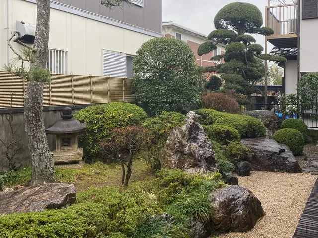 ビフォーアフターで確認！14年経験の庭木剪定プロフェッショナルサービスの画像