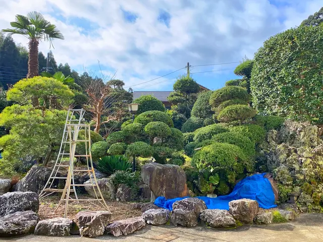 ビフォーアフターで確認！14年経験の庭木剪定プロフェッショナルサービスの画像