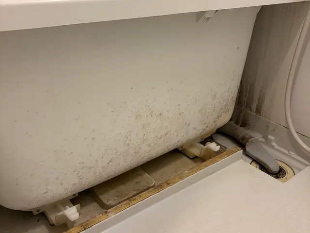 【次亜塩素酸、強アルカリ、酸性洗浄剤にて徹底洗浄】丁寧に作業いたします！サービスの画像