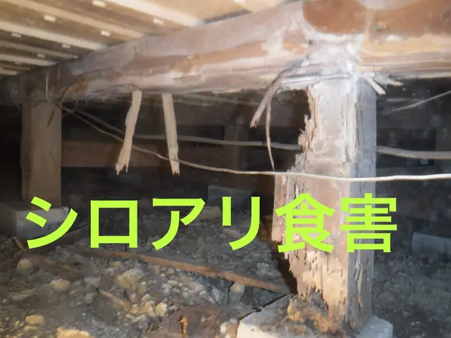 業歴28年以上のスタッフが対応！実績と経験には自信有り！シロアリ防除施工士資格！サービスの画像