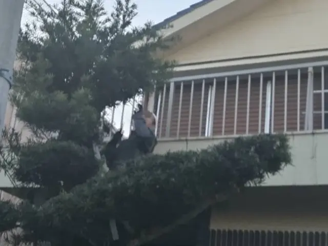 年内作業可能◎年内にスッキリさせて、新年をお迎えしませんか。お庭の専門店です。サービスの画像