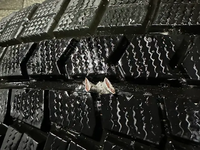 大手経験者が作業外注一切なしで完全自社対応！お客様第一の接客でお困りごとを解決サービスの画像