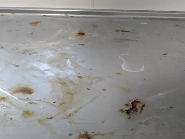 キッチンクリーニングサービスの画像