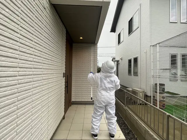 蜂駆除、蜂の巣駆除サービスの画像