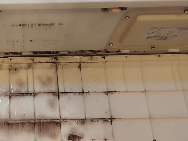 大人気★9月キャンペ特別価格でご案内！数量限定☆エプロン内部防カビサービス☆サービスの画像