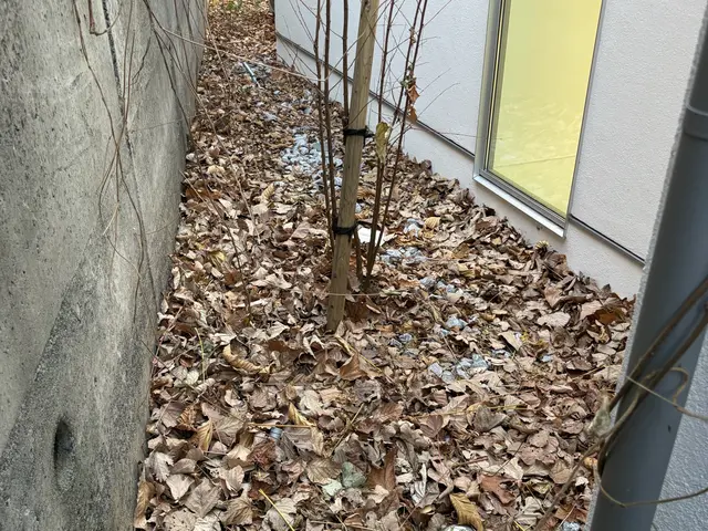 落ち葉の季節も安心！UGのサッと清掃便サービスの画像