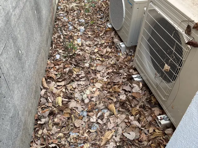 落ち葉の季節も安心！UGのサッと清掃便サービスの画像