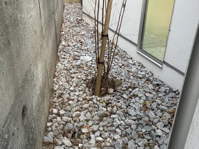 落ち葉の季節も安心！UGのサッと清掃便サービスの画像