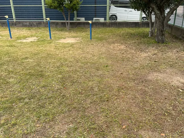 お庭、公園の草刈りサービスの画像