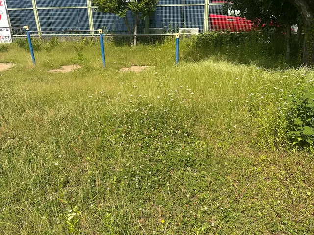 お庭、公園の草刈りサービスの画像