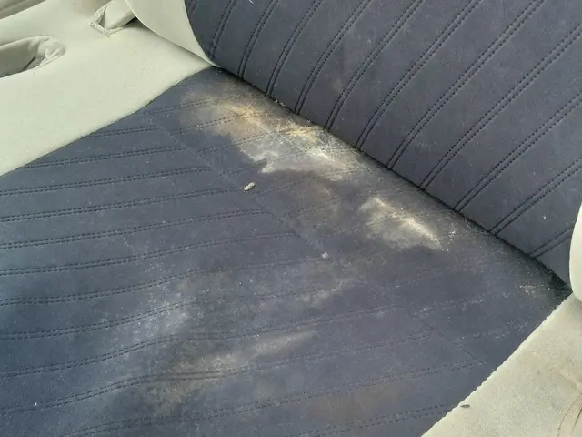 見えない汚れまで徹底洗浄！安心！丁寧！　家族が喜ぶ車内空間サービスの画像